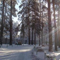 фото 2 Лесные дали