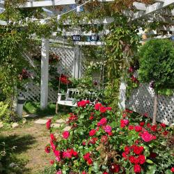 Фото Отель Иваново Подворье