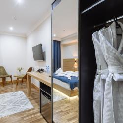 Номер премиум с двуспальной кроватью