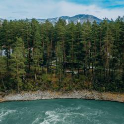 Фото Отель Хвоя в горах