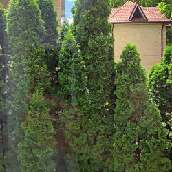 Eco House (Эко Хаус) — 71afcfec60ae9fbf07a32cde2bb10821