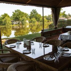 Фото Отель Golden Fish (Голден Фиш)