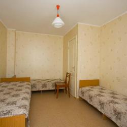 Фото Отель Гостевой дом Роман