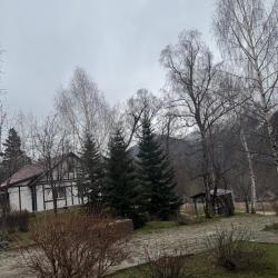 Фото Отель Woodland (Вудлэнд)