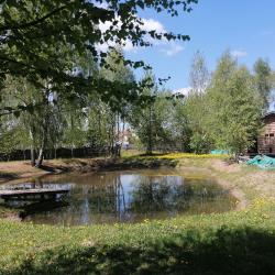 Фото Отель Гостевой дом Окулова Заимка