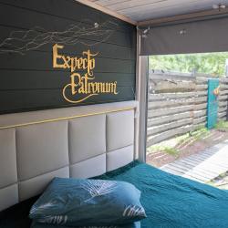 Коттедж стандарт Слизерин