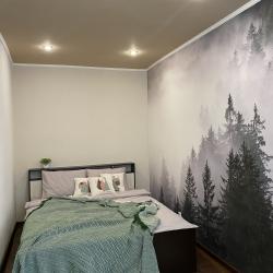 Фото Апартаменты на проспекте Ленина 19