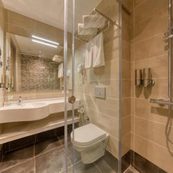 Фото Отель Hayasa Hotel Yerevan (Хаяса )