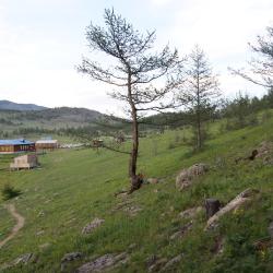 Номер комфорт с 3 односпальными кроватями