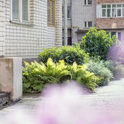 Фото Отель НаСутки35 на Советском проспекте 68