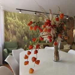 Фото Просторные апартаменты на бульваре Кутузова 11