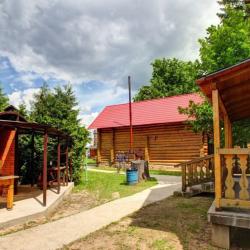 фото 43 Чайка