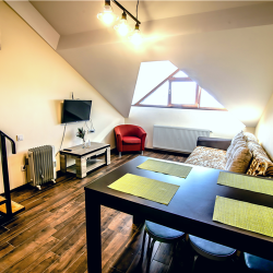Фото Апартаменты New Gudauri Rooms (Нью Румс)