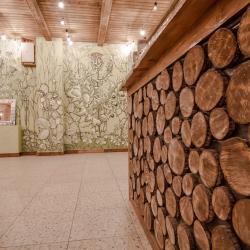 Фото Отель Vyritsa Village ( Вилладж)