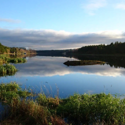 Фото Отель Алавойне