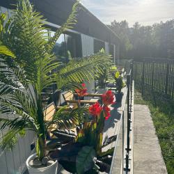 Фото Отель Игуана