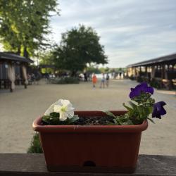 Фото Отель Белуга