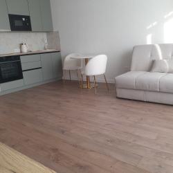 1-комнатные апартаменты студия