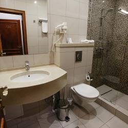 Номер стандарт бизнес с 1 двуспальной кроватью