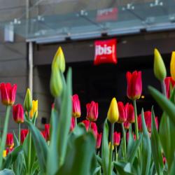 фото 10 Ibis Moscow Center Bakhrushina (Ибис Бахрушина)