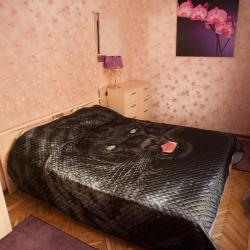 Фото Отель Old Flat (Олд Флэт) на улице 7-ая Советская 27