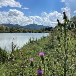 Фото Отель Горное Озеро