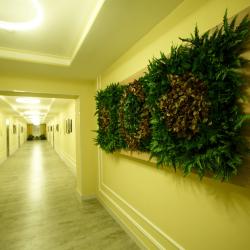 Фото Отель Green Which (Гринвич)