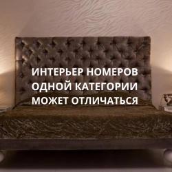 Номер делюкс с 1 двуспальной кроватью
