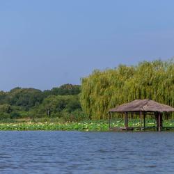 Фото Отель Усадьба Фамилия