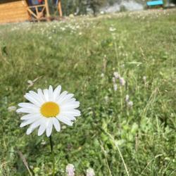 Коттедж эконом №3