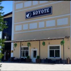 Фото Motel Koyote (Мотель Койот)