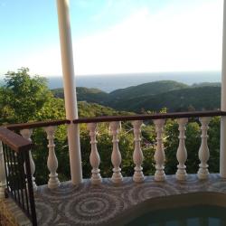 Фото Отель Дома в лесу