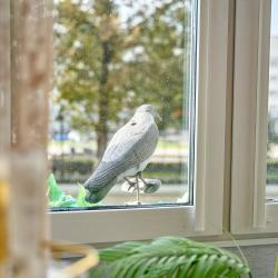 Номер улучшенный стандарт с 1 двуспальной кроватью (с завтраком)