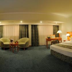 фото 23 Ramada by Wyndham Tashkent (Рамада бу Виндхэм Ташкент)