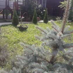 Фото Отель Фил Хаус