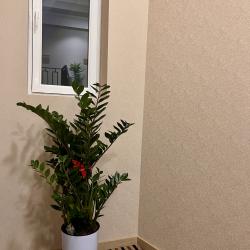 Фото Отель Bristol Hotel Tashkent (Бристол )