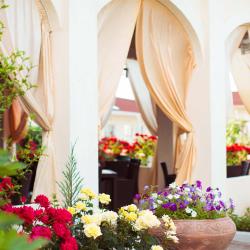 Фото Отель Нарлен