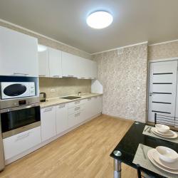 Фото Апартаменты на улице Николая Зелинского