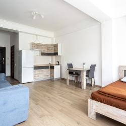 Фото Апартаменты на улице Платановая