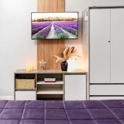 Апартаменты студия