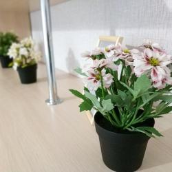 1-комнатные апартаменты стандарт