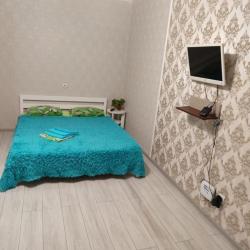 Фото Апартаменты на улице Партизанская, 203