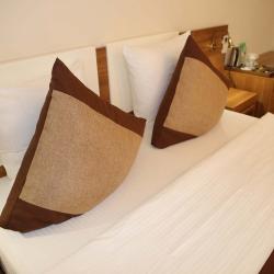 Номер люкс с 1 двуспальной кроватью