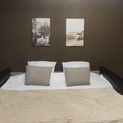 Апартаменты стандарт с диваном