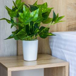 фото 107 Natalie Apartments (Натали Апартаментс) на шоссе Пулковское 14 стр. 6