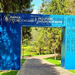 Фото Отель Зелёный дворик