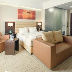 Фото Отель Comfort Hotel Astana (Комфорт Астана)