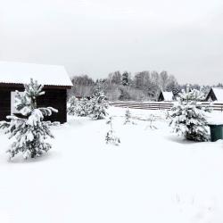 Фото Отель Аура