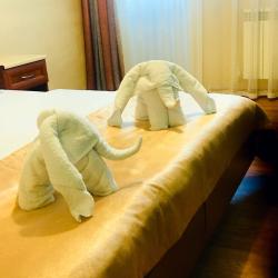 Фото Отель Эдельвейс