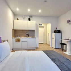 Фото Апартаменты Истомáн |Студия - вид на пруд